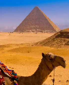 Vietnam Clásico Turkish Airlines